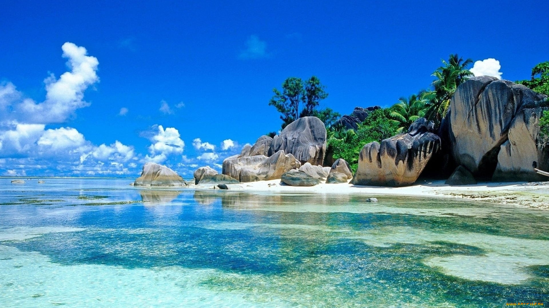 seychelles beach, , , seychelles, beach